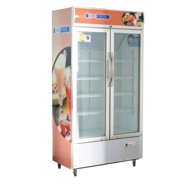 Double Door Vertical Two Chambers Showcase Lingyun-6