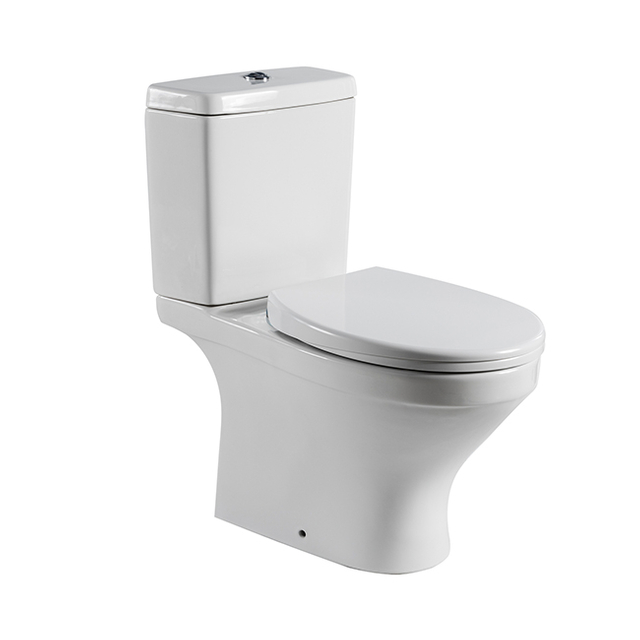Washdown Ceramic Two Piece Wall Mounted Toilet G016