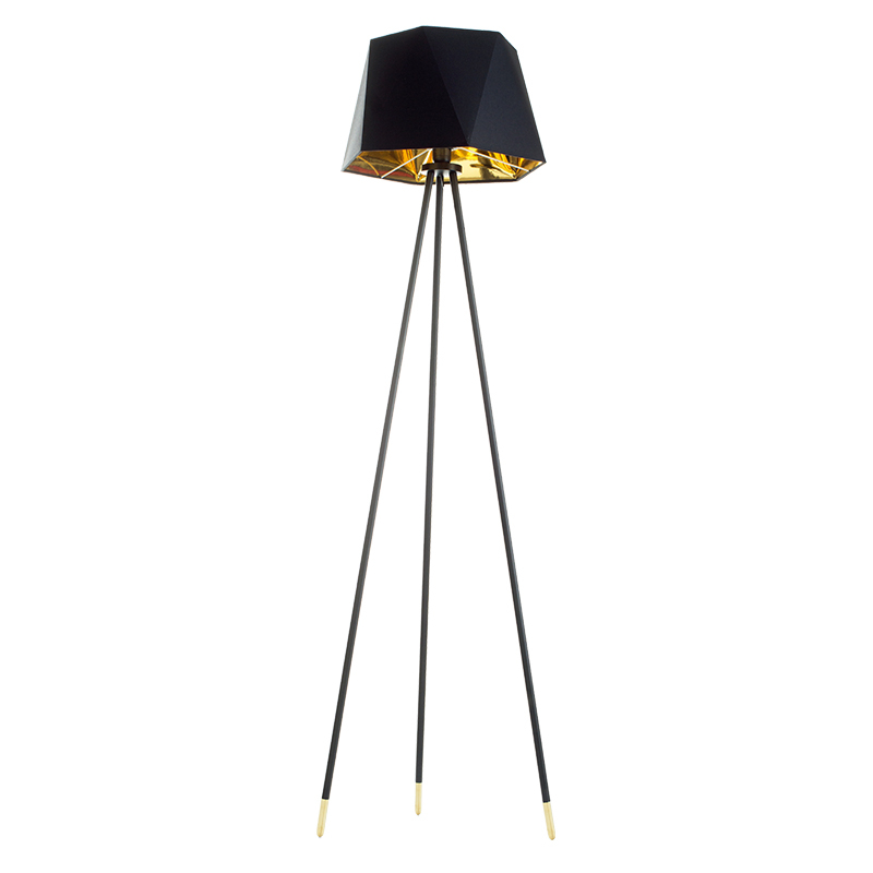 fashion and luxury Floor lamp CS-FL085